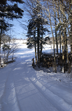 Schneefahrbahn 2