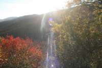 Herbst1 Wachau