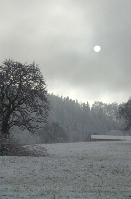 WINTERLANDSCHAFT 1