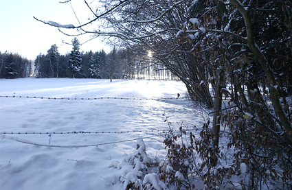 Winterlandschaft 2