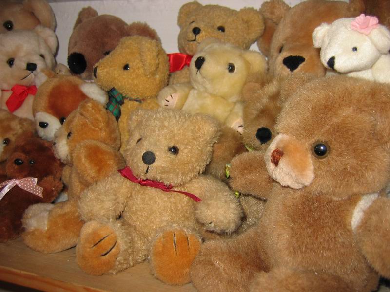 Die Teddys sind los