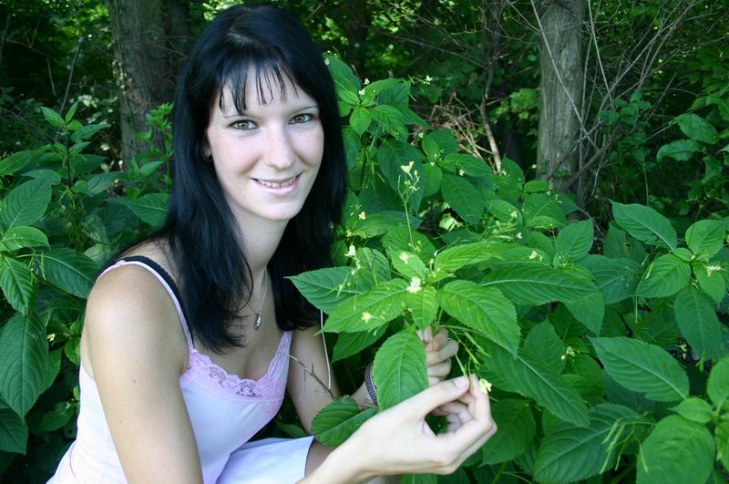 Entdeckung im Wald