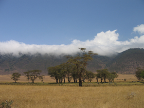 0061 KENIA NATIONALPARK copyright fotostudio weber hollabrunn