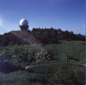 2124_173