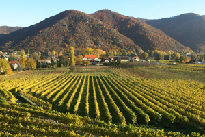 Wachau