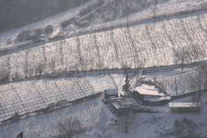 Weingärten, Winter