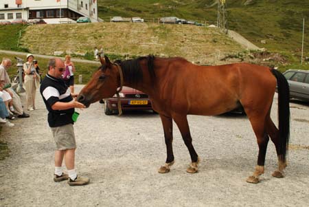 2795 Silvretta