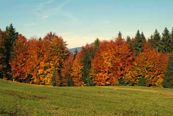 Austria 3671 Herbst