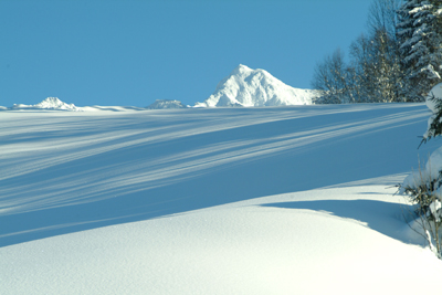 Winterlandschaft