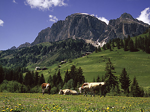 Gadertal-Dolomiten