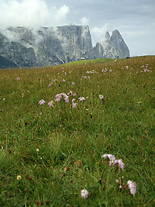 Seiser Alm-Südtirol