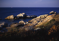 Korsika Küste-Calvi
