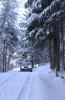 Auto im Schnee  2