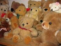 Die Teddys sind los