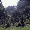 735_686 735_686