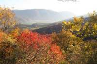 Herbst Wachau