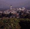 315_249 315_249