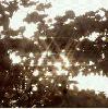 1045_90 1045_90