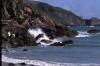 Guernsey 1158 IMG Guernsey 1158 IMG