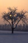Winter 22963img
