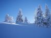 Winterlandschaft