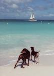 Verschiedenes_Urlaub, FACD5 Verschiedenes_Urlaub, FACD5